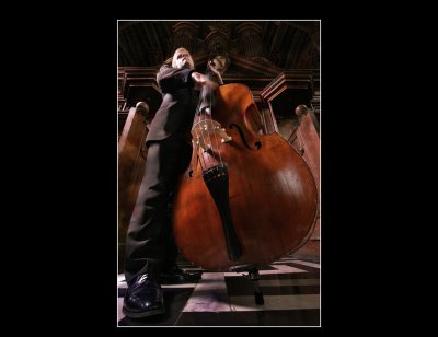 The Contrabassist