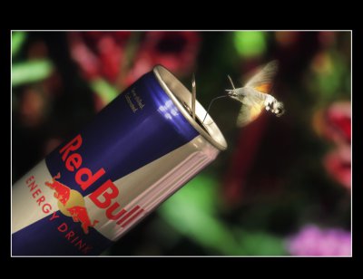 Red Bull