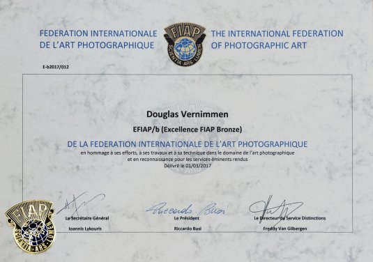 Distinction Awarded by FIAP